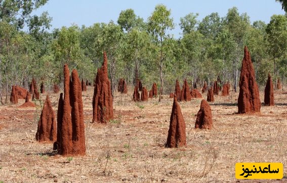 (تصاویر) کشف باورنکردنی کهن‌ترین خانه جهان با قدمت 34 هزار سال!