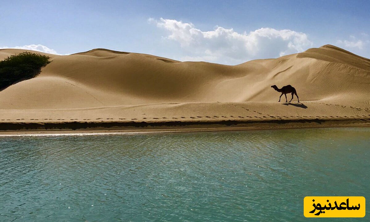 ساحل درک