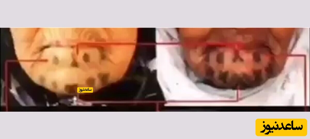 پیرزن 760 ساله در جنوب ایران