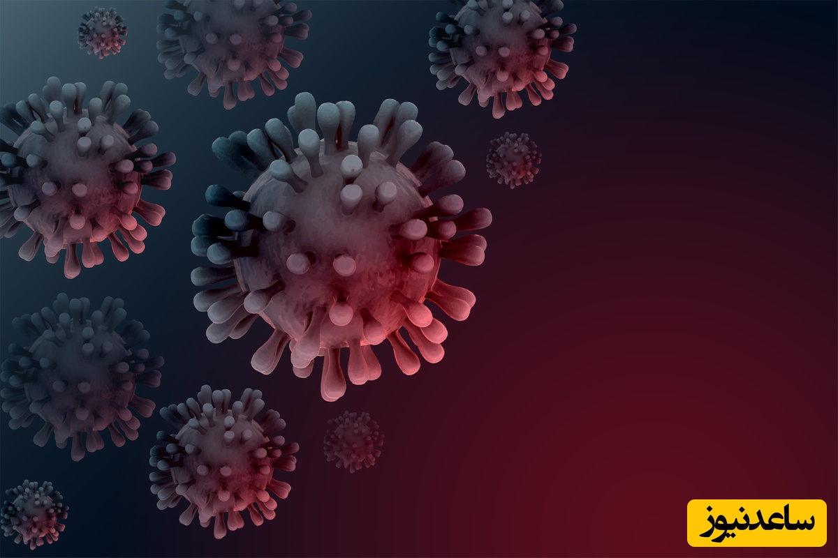 هشدار: ویروس نیپا با 75٪ مرگ‌ومیر در هند فعال شد!