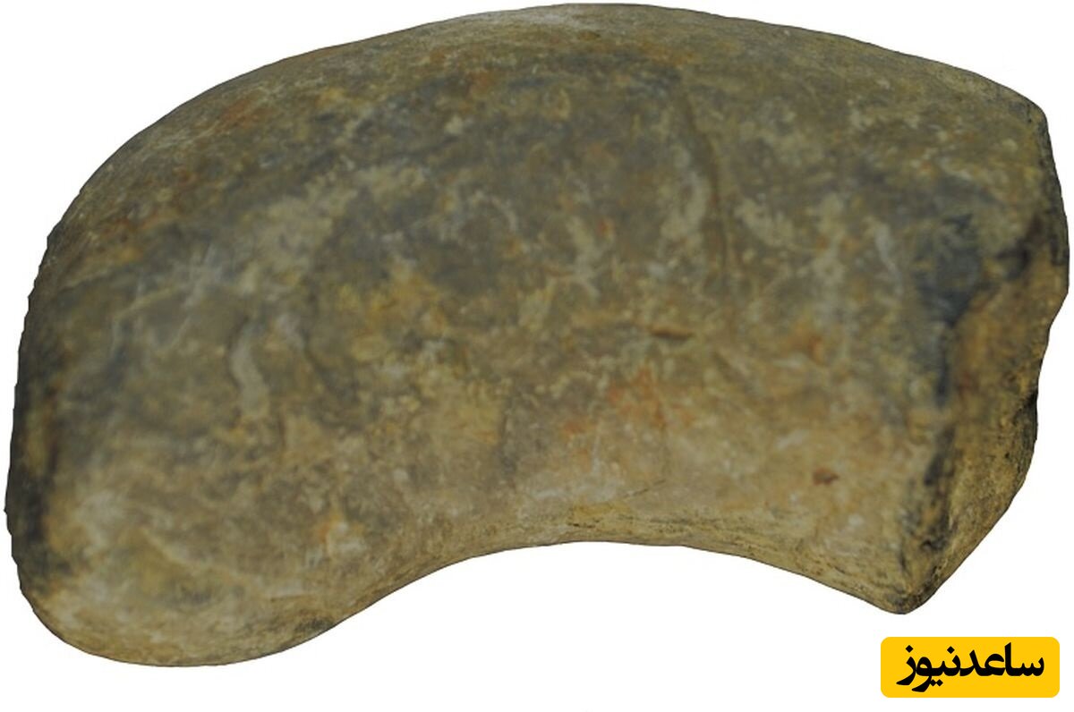 از «مدفوع» 200 میلیون ساله یک چیز عجیب کشف شد! +عکس