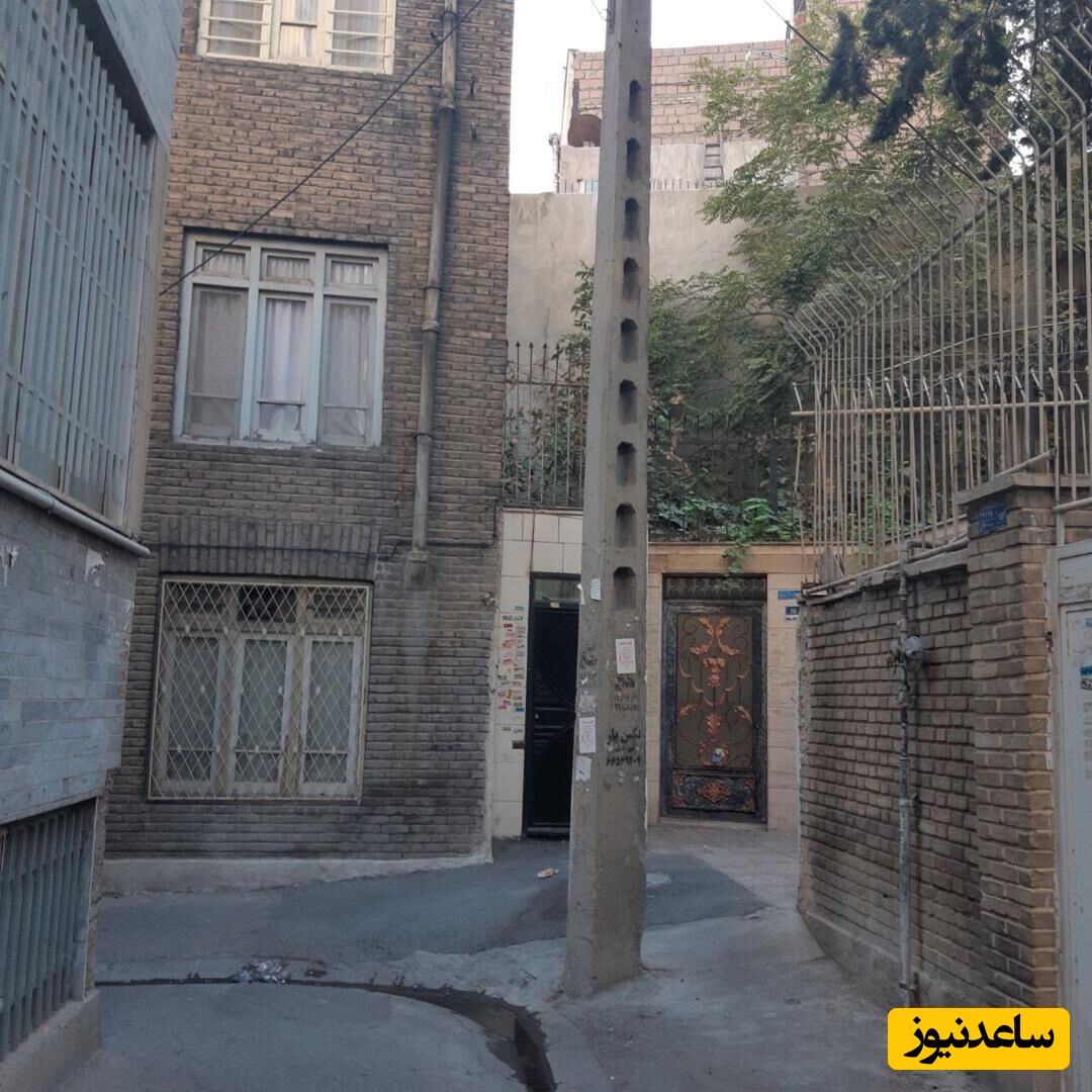 خلاقیت خنده دار اُوستا بنّا برای حل مشکل ستون خانه اش حماسه ساز شد/ هنر نزد ایرانیان است و بس +عکس😆