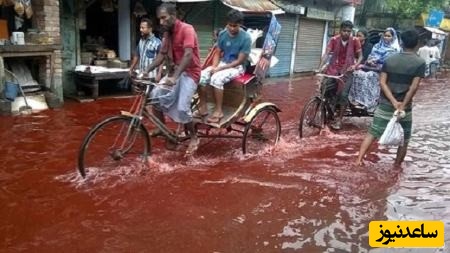 سیل خون