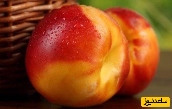 دیدن شفتالو در خواب چه تعبیری دارد؟ / تعبیر خواب شفتالو