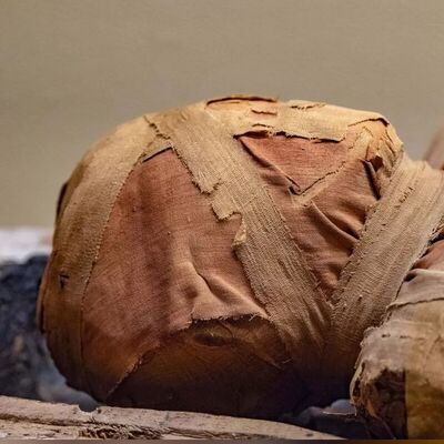 کشف صدها مومیایی و تابوت باستانی در گورستان وسیع مصر+ فیلم