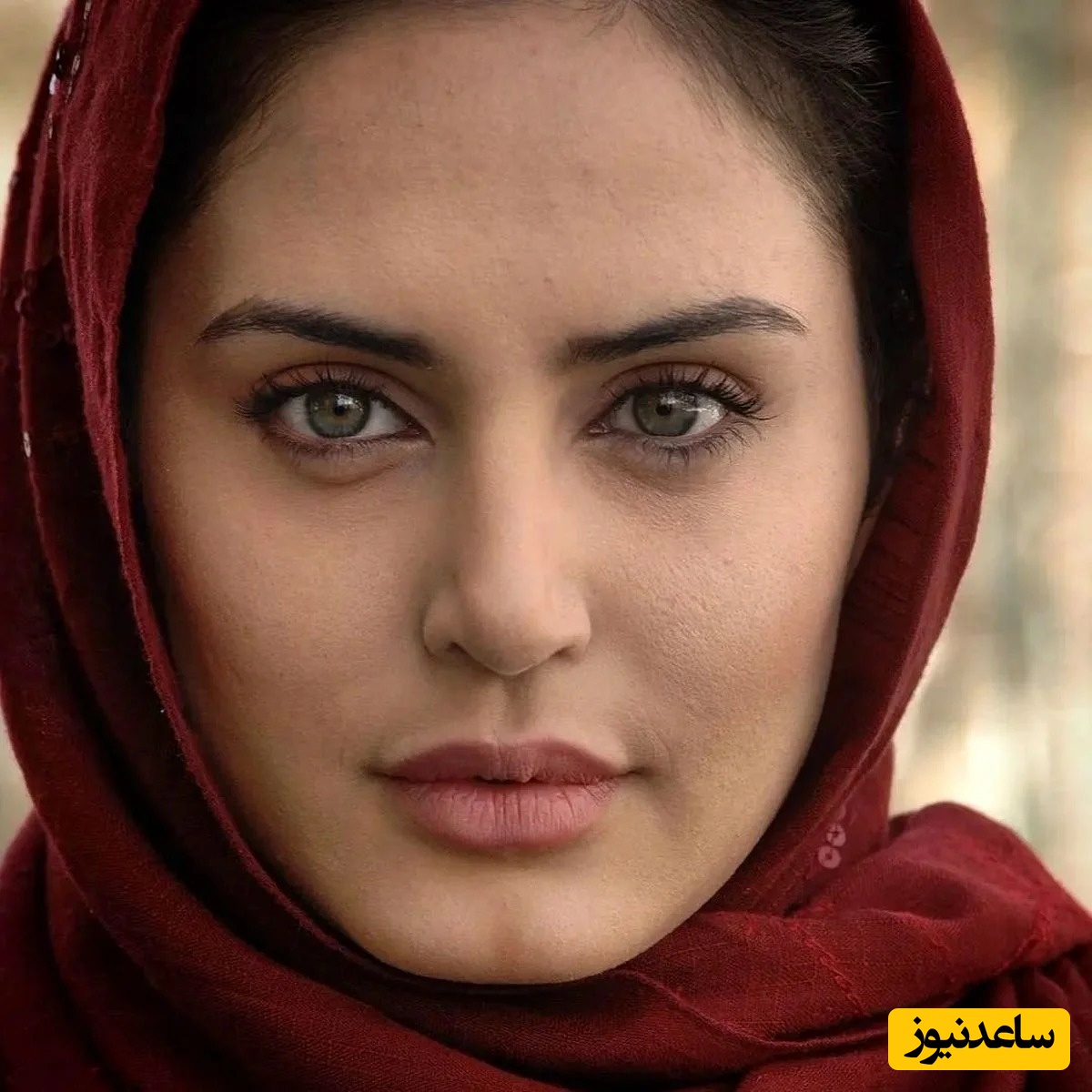 شیطنت عجیب گربه پشمالو الناز شاکردوست برای پیدا کردن جای خواب که مسبب کار خیر شد / آخه فسقلی جا بود پیدا کردی برای خواب؟ این همه