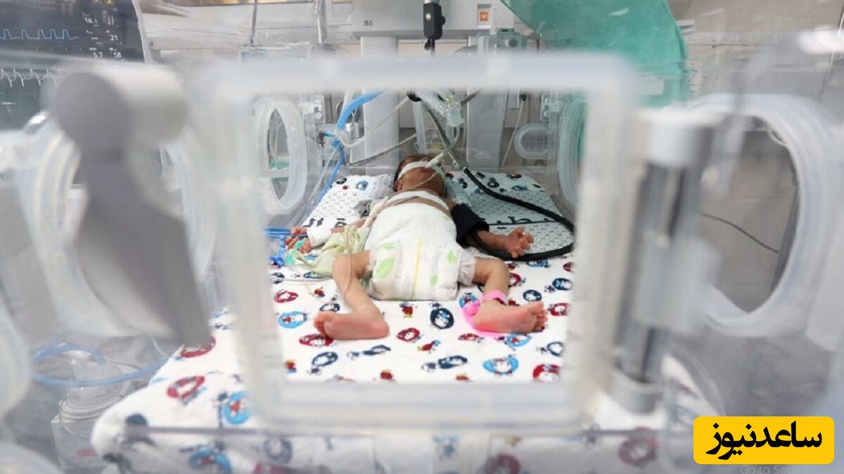 نوزاد کفن پوش غزه ای که هنوز شناسنامه اش نیامده، گواهی فوتش صادر شد!+عکس دلخراش