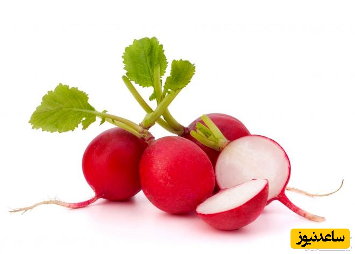  آیا زنان باردار می توانند ترب بخورند؟