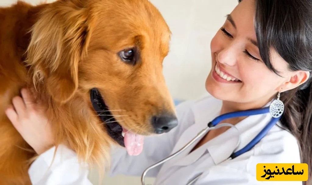 دانلود رایگان نمونه سوالات کنکور کارشناسی ارشد رشته ایمنی‌شناسی دامپزشکی سال 1398