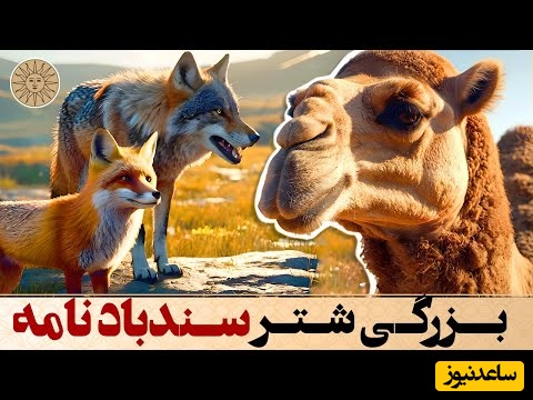 قصه‌های زیبای سندباد نامه؛ حکایت جالب معرفت و بزرگی شتر و گرگ؛ کینه شتری شنیده‌اید؟! + ویدئو
