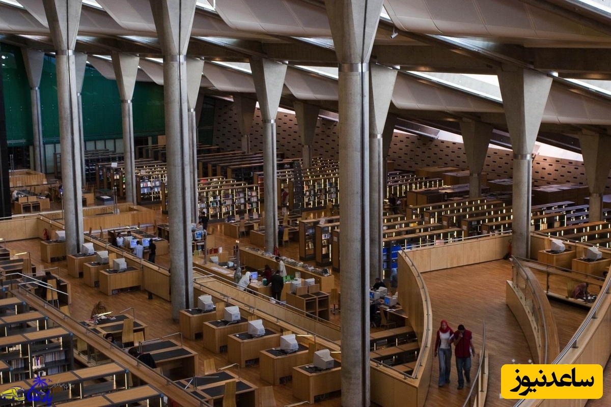 دانشگاه اسکندریه