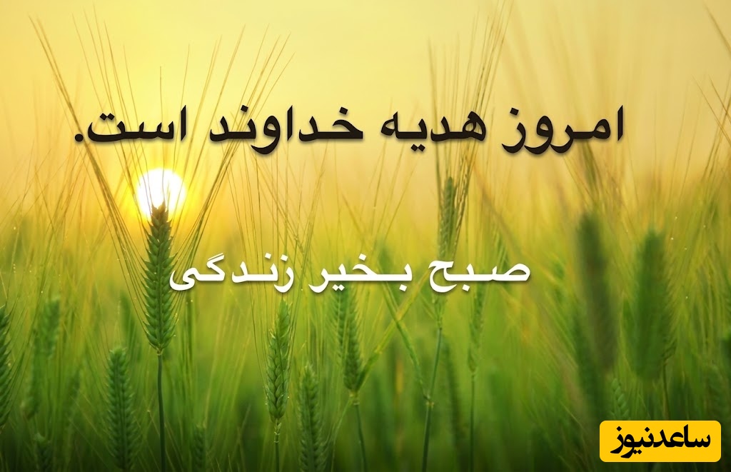 شکرگزاری صبحگاهی/ پروردگار مهربان، سپاس برای این روز جدید که همچون صفحه‌ای سفید پیش روی من قرار داده‌ای. سپاس برای.../ شکرگزاری امروز 9 خرداد 1405+ ویدئو