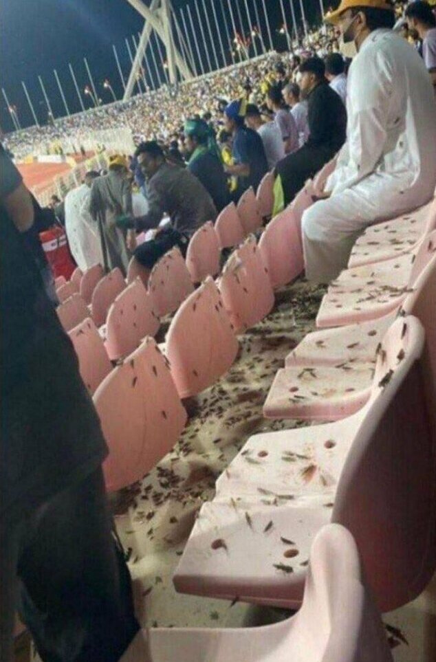 ورزشگاه النصر