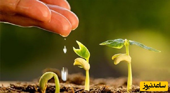 آشنایی با مجموعه علوم و مهندسی باغبانی و بازار کار آن