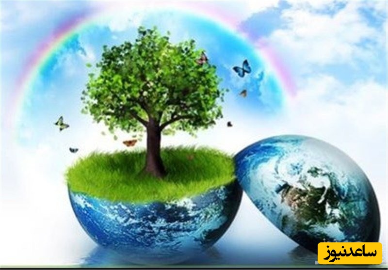 نمونه کارنامه و ظرفیت پذیرش رشته مهندسی بهداشت محیط (بهداشت حرفه ای) در مقطع کارشناسی ارشد