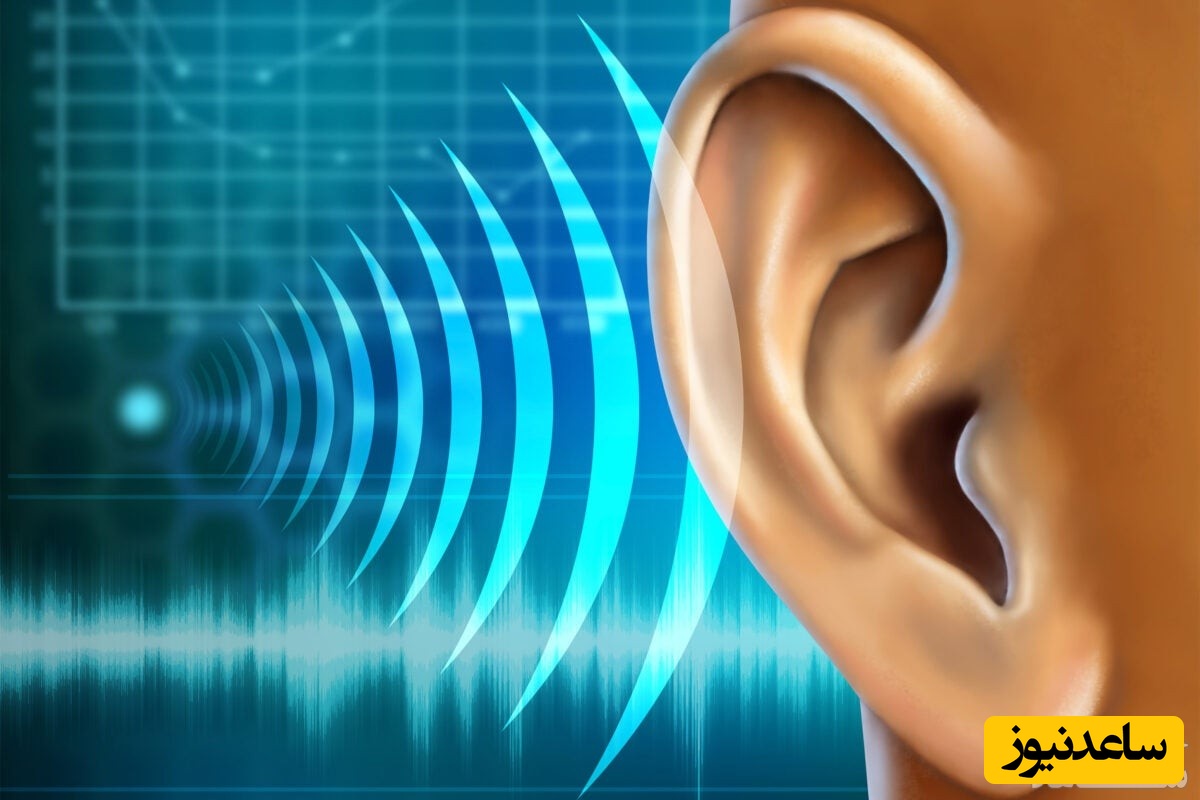 دیدن انعکاس در خواب چه تعبیری دارد؟ / تعبیر خواب انعکاس