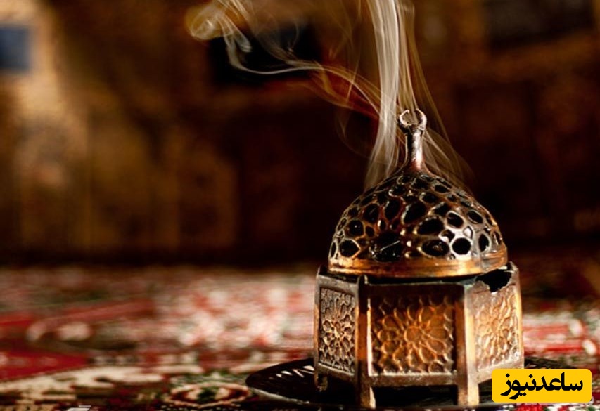 دیدن اسپندان در خواب چه تعبیری داد؟/ تعبیر خواب اسپندان