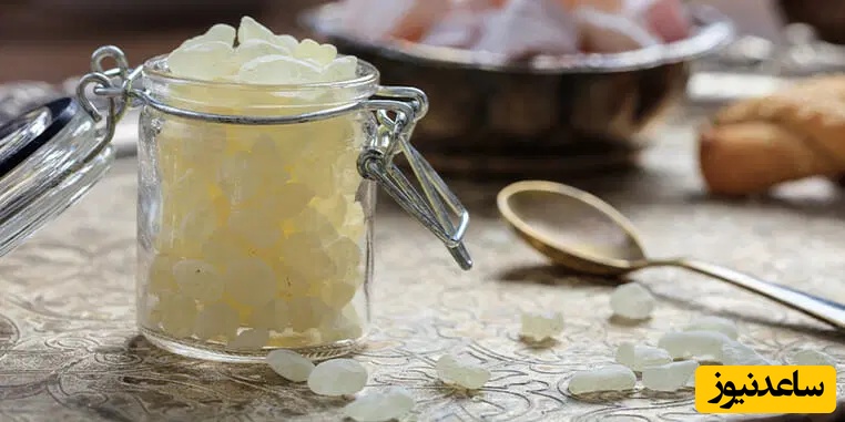 مصطکی چیست؟ خواص و کاربردهای مصطکی در طب سنتی برای سلامتی