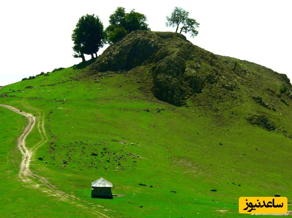 سفر به بهشتِ مه‌آلود ماسال 🌿✨؛ کشف جاذبه‌های رویایی و طبیعتِ نفس‌گیر این روستای شگفت‌انگیز+ عکس