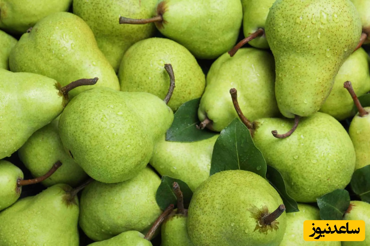 دیدن گلابی در خواب چه تعبیری دارد؟ / تعبیر خواب گلابی