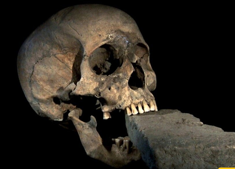 جمجمۀ زنی که با آجری در دهانش دفن شده بود، ونیز ایتالیا