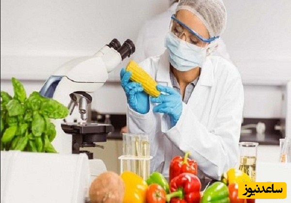 منابع دروس آزمون رشته علوم و مهندسی صنایع غذایی و ضرایب آن در مقطع دکتری