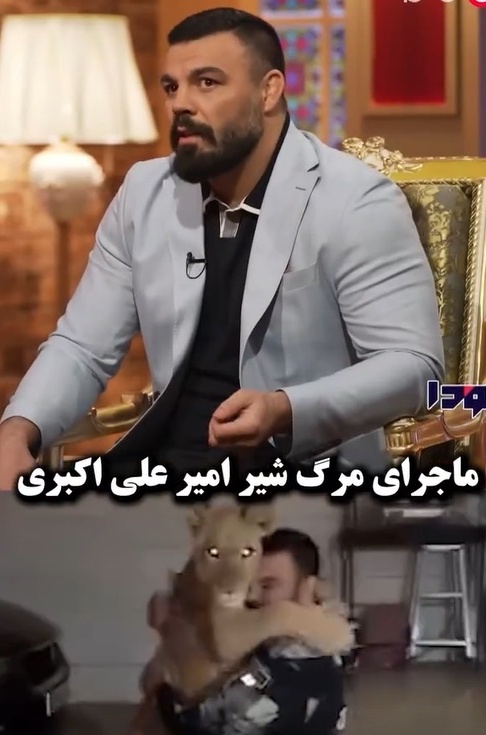 ویدئو/امیر علی‌اکبری جای شیر من تو خونه بهتر از باغ وحش بود که کشته شد/ کامران نجف زاده: میگن یه الاغ جُفتک زده اون شیر نر رو کشته😂/ کارمای زمانه ات رابشناس