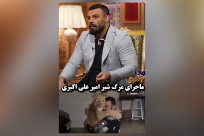 ویدئو/امیر علی‌اکبری جای شیر من تو خونه بهتر از باغ وحش بود که کشته شد/ کامران نجف زاده: میگن یه الاغ جُفتک زده اون شیر نر رو کشته😂/ کارمای زمانه ات رابشناس