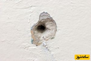 دیدن سوراخ در خواب چه تعبیری  دارد؟ / تعبیر خواب سوراخ