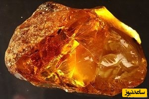 دیدن عنبردر خواب چه تعبیری دارد؟ / تعبیر خواب عنبر