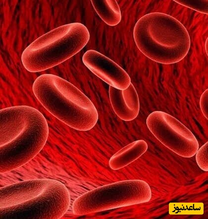 (ویدیو) هر گروه خونی مستعد چه بیماری هایی است؟ / با شناخت گروه خونی خود بیماریتان‌را تشخیص دهید!