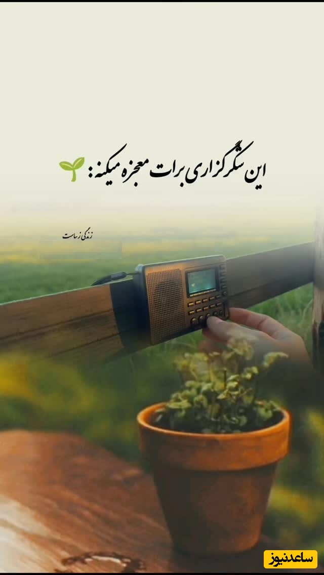 شکرگزاری صبحگاهی/ قبل از اینکه روزت را شروع کنی، فقط 60 ثانیه با خدا حرف بزن، شاید همان دری باشد که خدا امروز برایت باز کرده / شکرگزاری امروز + ویدئو