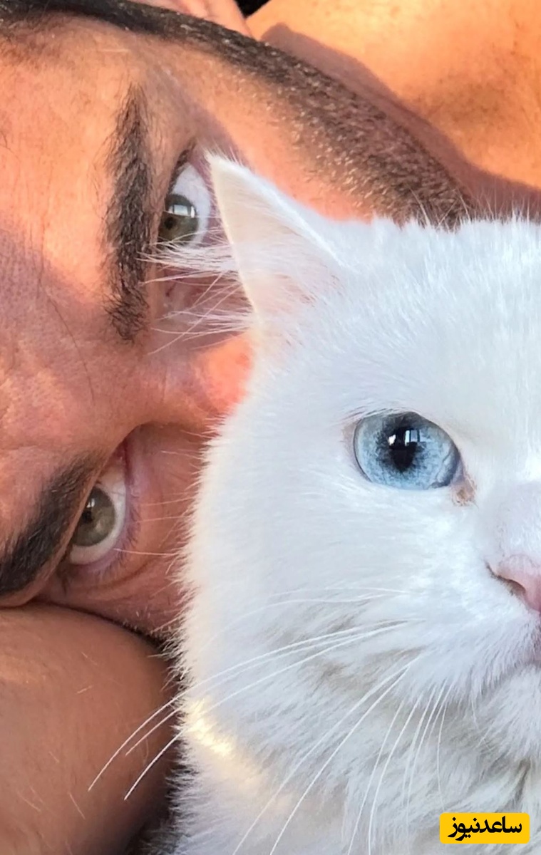 گلزار و گربه خانگی اش