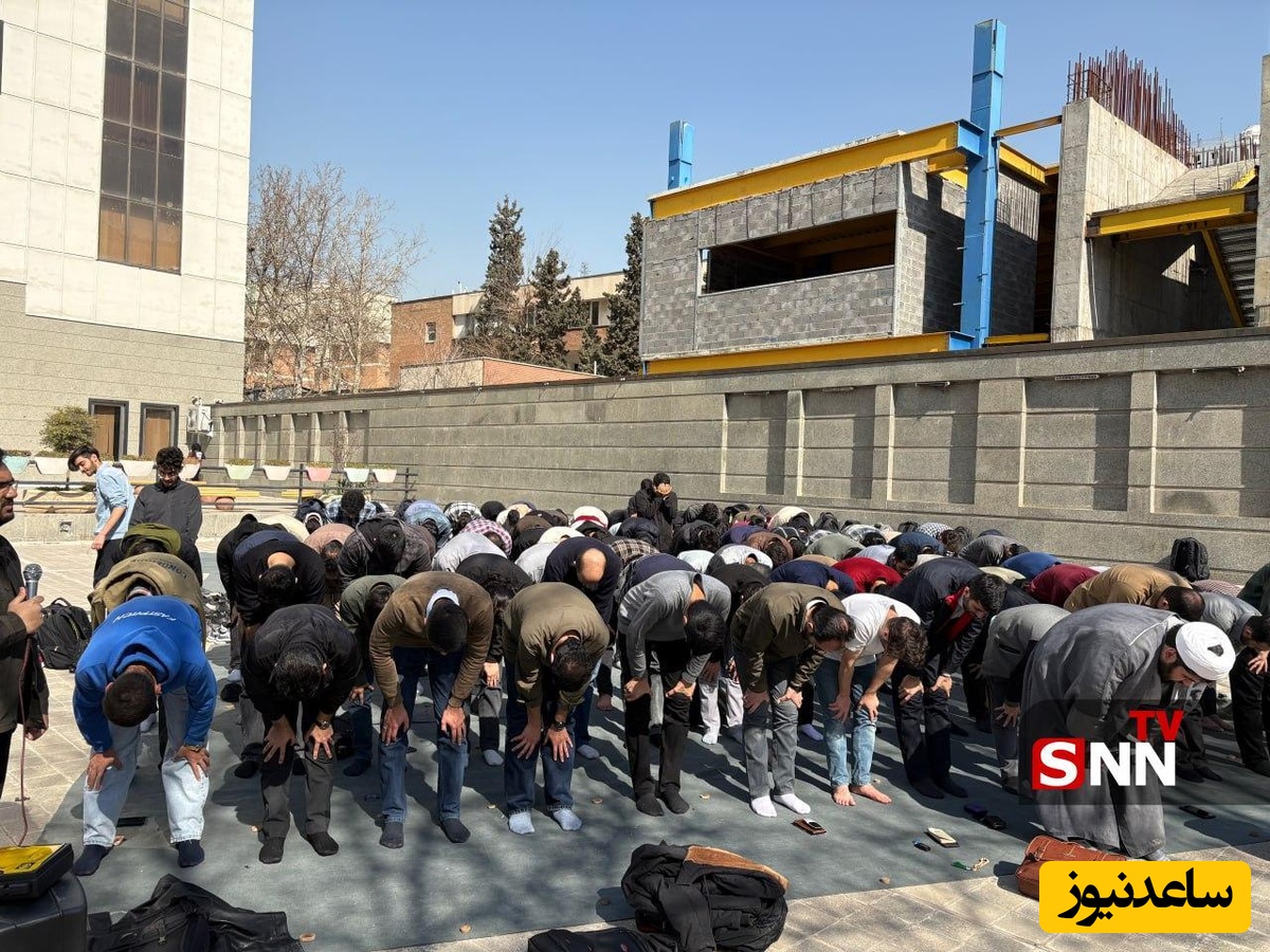 دانشگاه تهران