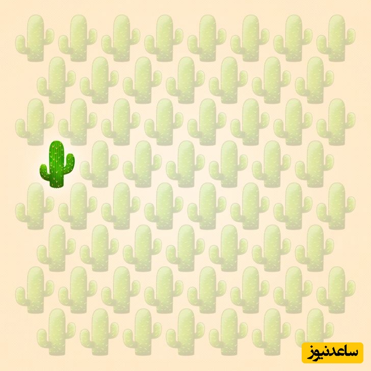 پاسخ