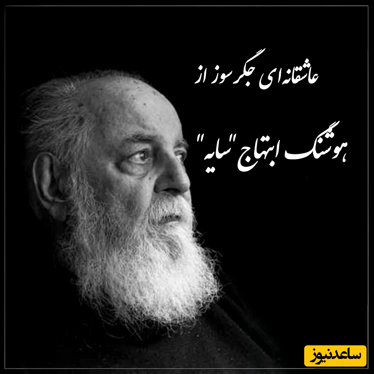 هان به فریاد دل تنگم برس … / عاشقانه‌ای جگرسوز از هوشنگ ابتهاج؛ اگر دلت تنگ است، این شعر سایه از تو حرف می‌زند + ویدئو