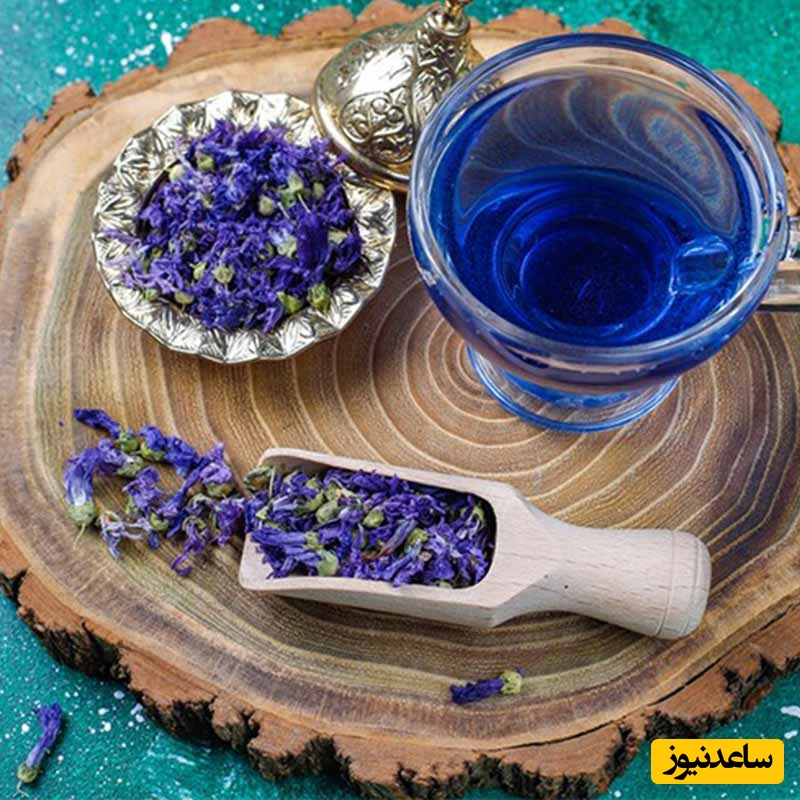 گل گاوزبان: آرام‌بخش روح یا خطری برای جسم؟ نگاهی علمی به فواید و مضرات