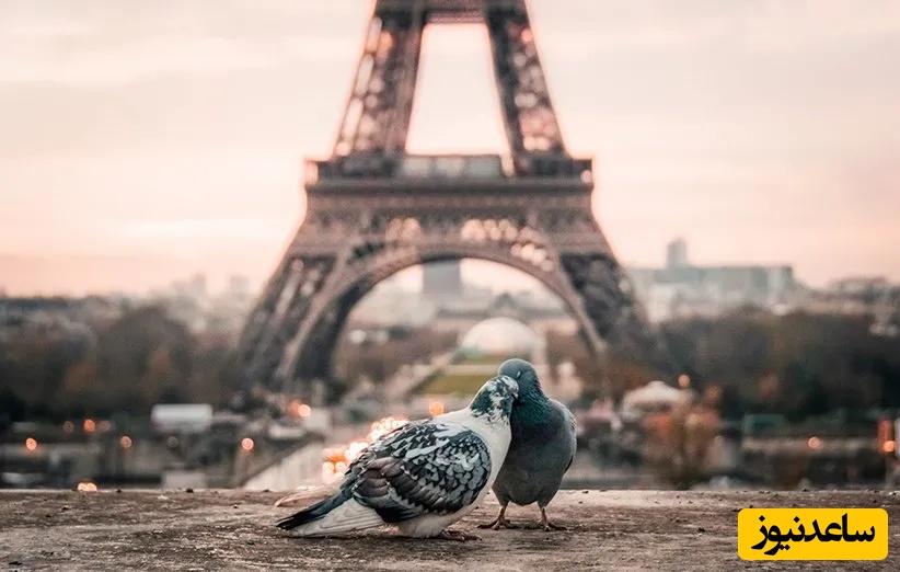 چگونه فرانسوی‌ها را با عبارات تحت تاثیر خود قرار دهید؟