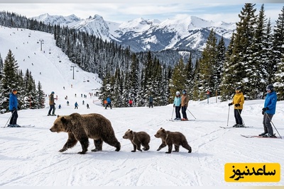 (ویدئو) لحظاتی نفس‌گیر از حیات وحش در پیست اسکی؛ حمله خرس‌ها به سمت اسکی‌بازان