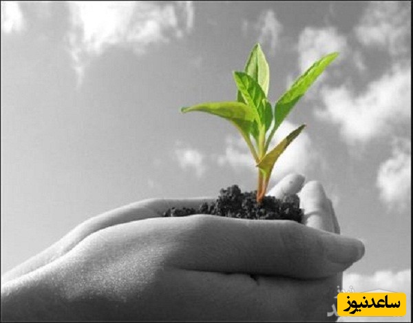 منابع دروس آزمون رشته آگروتکنولوژی و ضرایب آن در مقطع دکتری