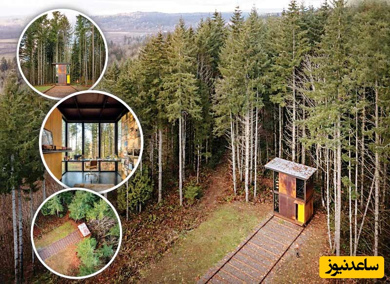 (عکس) نگاهی به معماری عجیب یک کلبه متحرک در دل جنگل