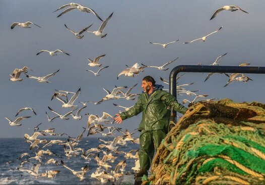 قایق ماهیگیری در سواحل ازمیر ترکیه/ خبرگزاری آناتولی