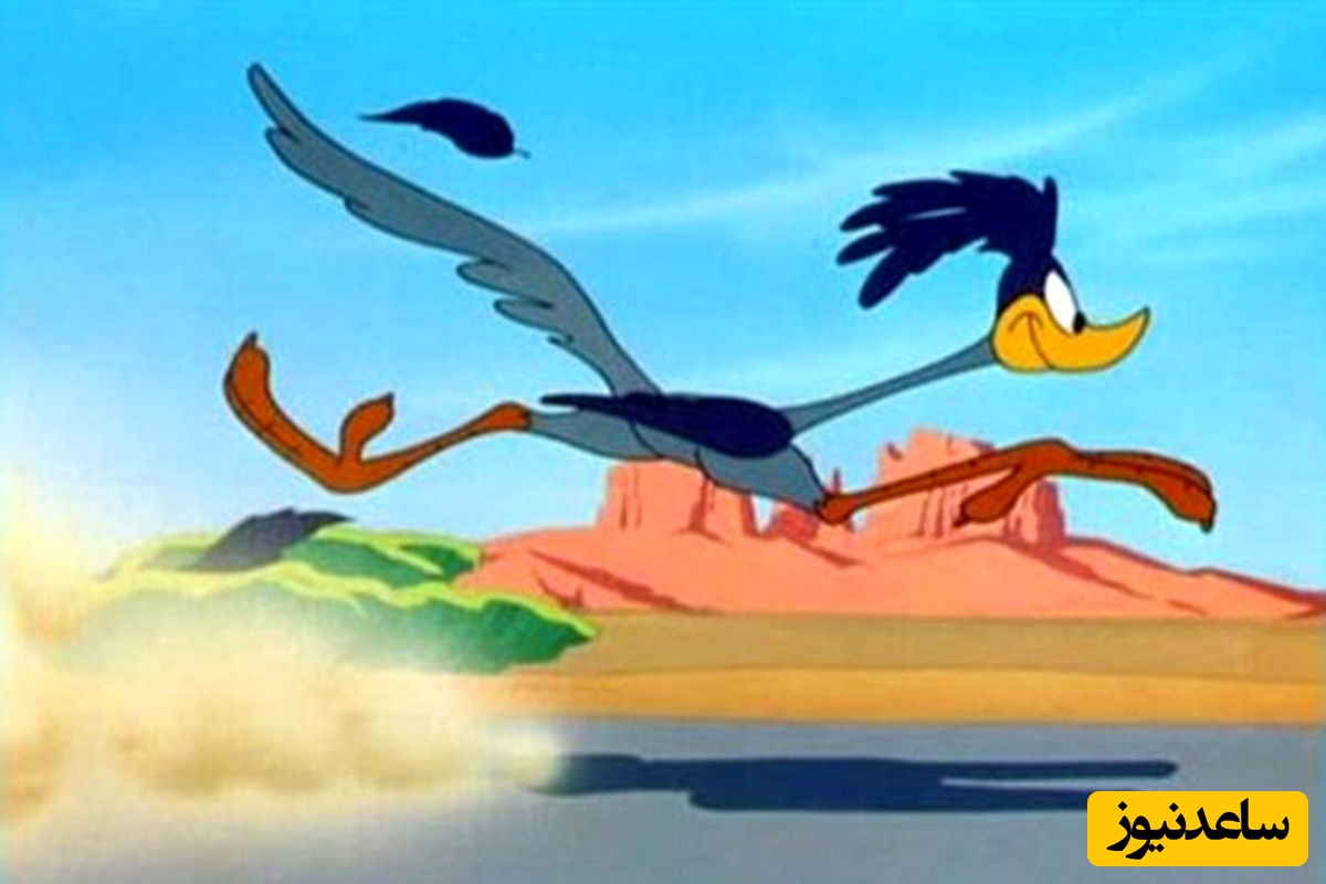 خلاقیت خارق‌العاده یک نقاش حرفه‌ای در خیابان باعث چندین حادثه رانندگی شد / میگ میگ در دنیای واقعی را ببینید؛ اسکار هنرمند سال تعلق میگیره به ایشون 🤣