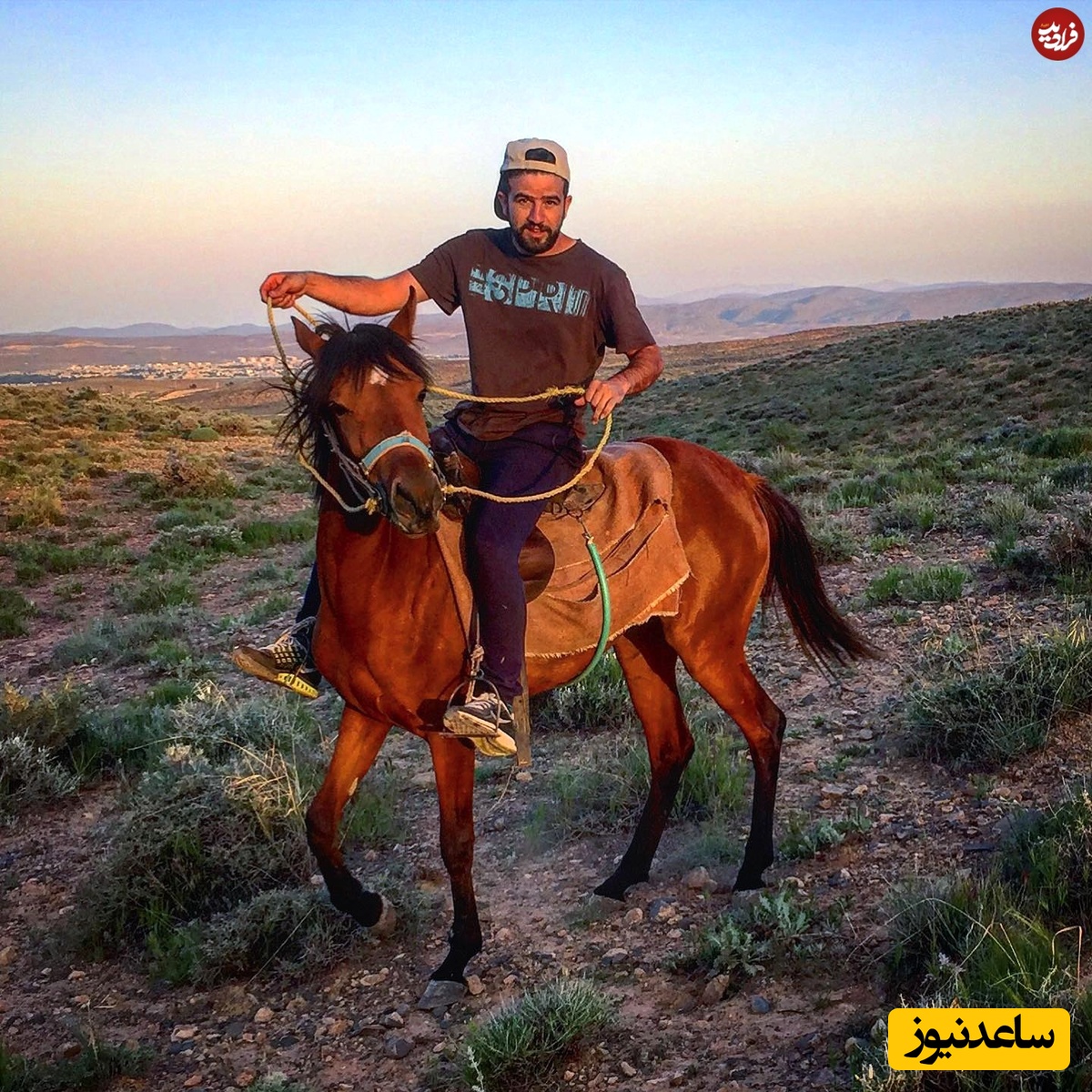 حامد سریال آوای باران