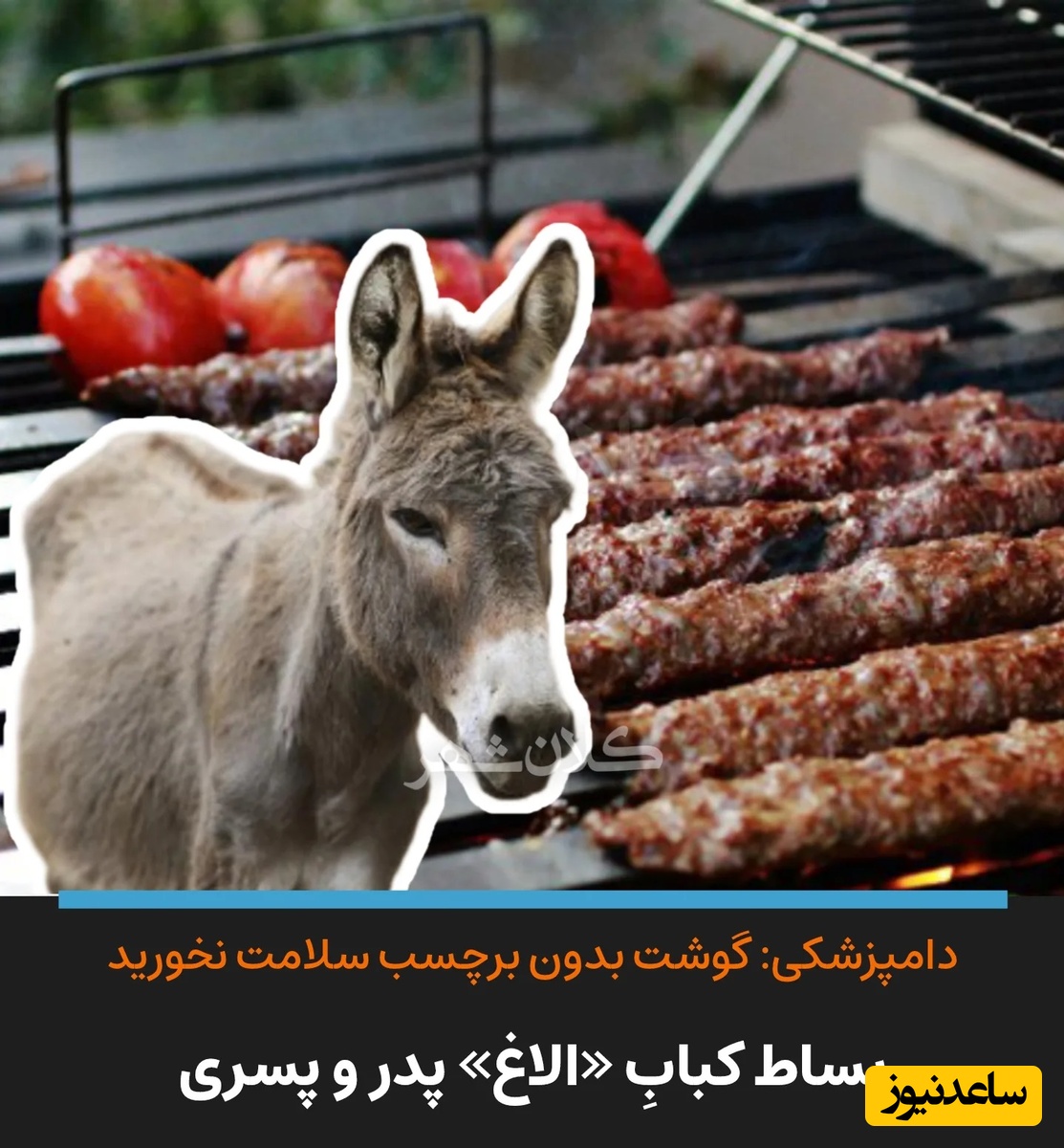 دستگیری پدر و پسر رستوران‌دار در جاده قزوین رشت که گوشت الاغ به مردم می‌دادند + فیلم