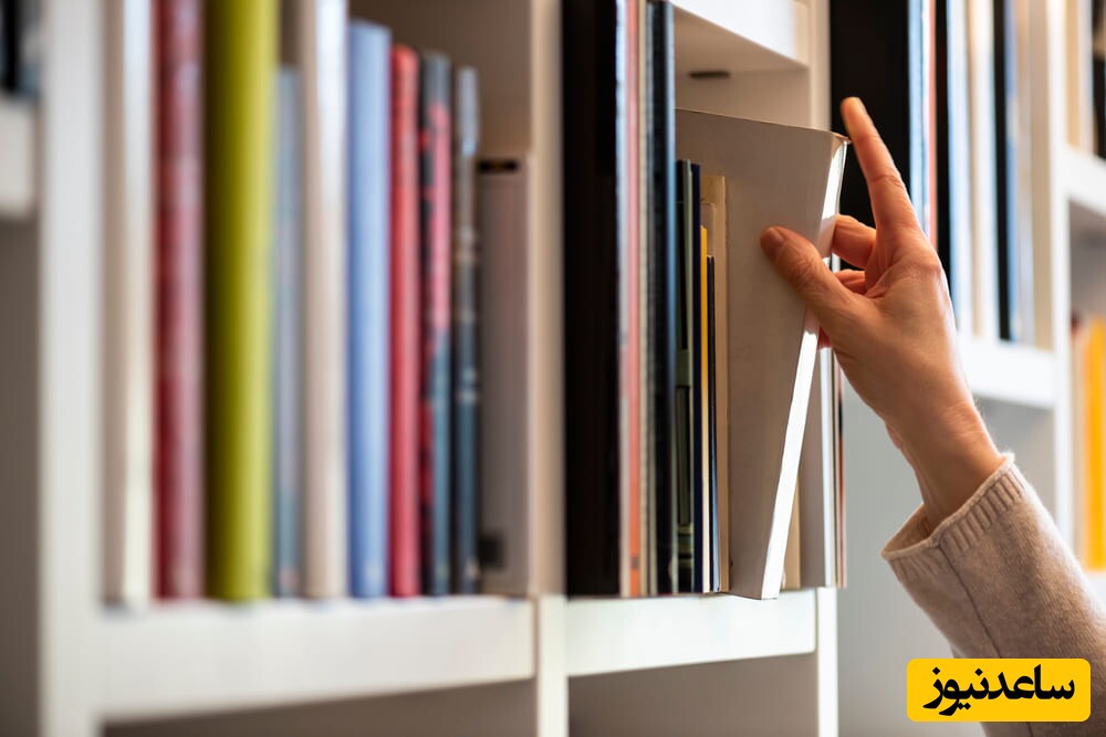 منحصربفردترین کتابخانه‌های دنیا با زیبایی عجیب و غریب/ وقتی هنر و خلاقیت از دل هیچ، همه چیز را بیرون میشکد