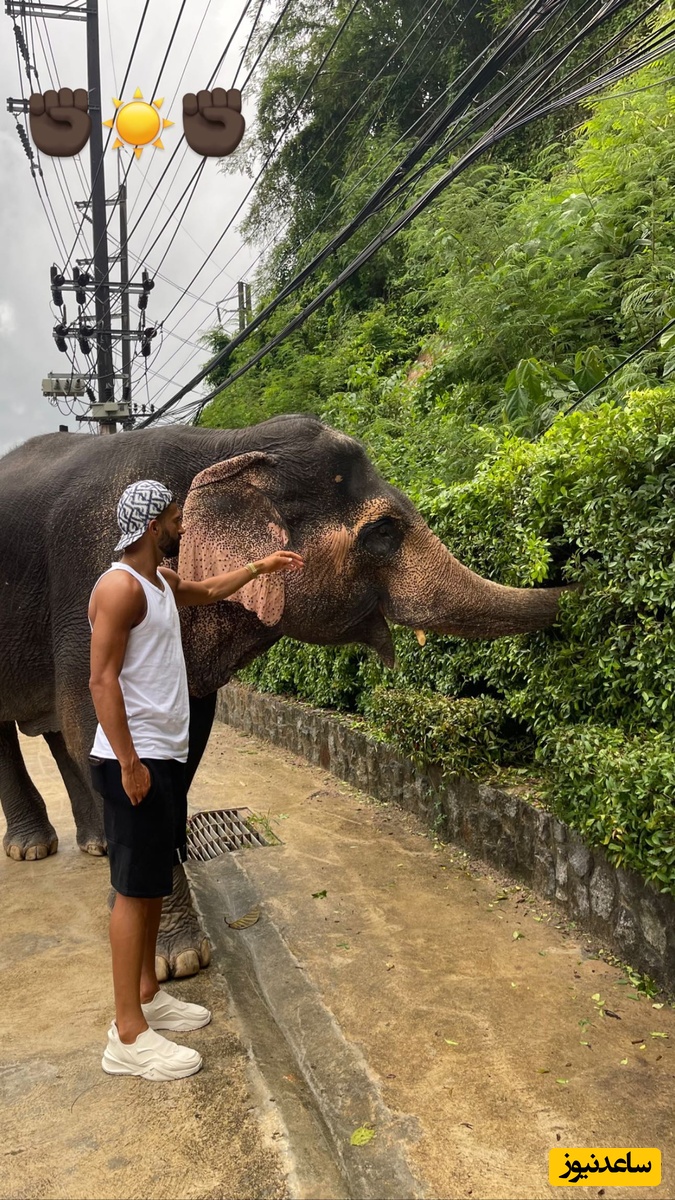 رامین رضائیان