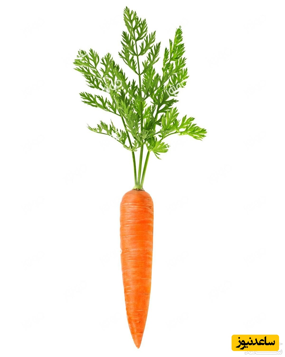 دیدن هویج در خواب چه تعبیری دارد؟ / تعبیر خواب هویج