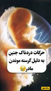 4 واکنشِ هوشمندانه و عجیبی که نشان می‌دهد جنینِ شما دقیقاً چه زمانی گرسنه است و از شما غذا می‌خواهد!+ ویدئو