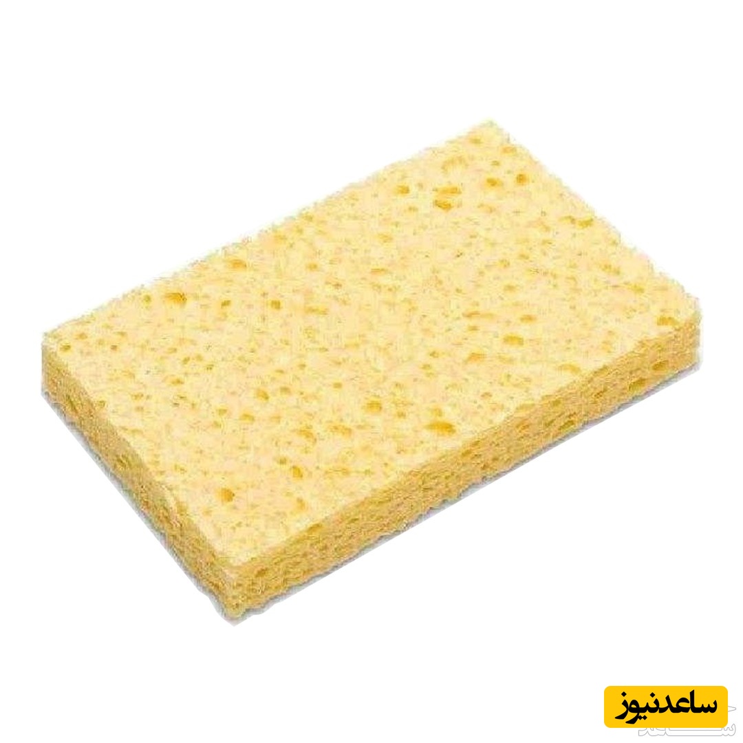 دیدن اسفنج در خواب چه تعبیری دارد؟ /  تعبیر خواب اسفنج